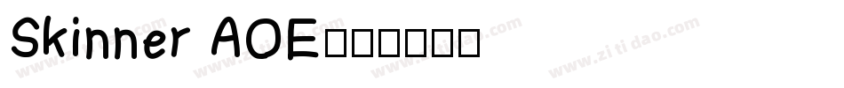 Skinner AOE字体转换